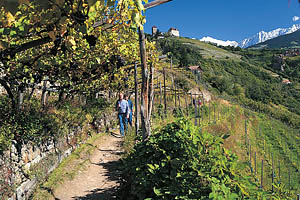 Algunder Waalweg, Meran, Südtirol - [Nr.: waalwege-011.jpg] - © 1998 www.drescher.it